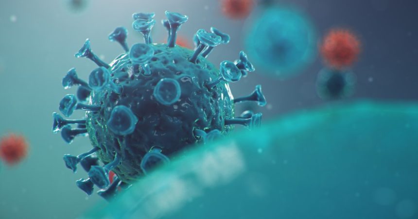 Síntomas del coronavirus: 10 indicadores clave y qué hacer  Síntomas del coronavirus: 10 indicadores clave y qué hacer coronavirus 2