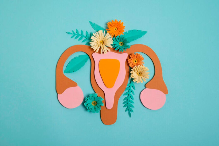 El papel de la alimentación en el ciclo menstrual y la fertilidad  El papel de la alimentación en el ciclo menstrual y la fertilidad ciclo menstrual 860x574